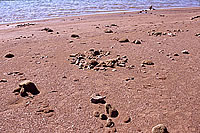 Pattern of stone on shoreline of Lake Buchanan, believed to be remains of an ancient house. Photo by Chuck Hixon.