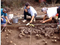 Teamwork in the excavation unit. From left, Janice Zimmermann, Charlotte Graham, and Gene Schaffner. Photo by Chuck Hixson.