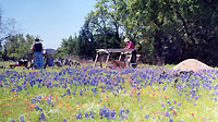 Riotous displays of wildflowers make screening at the site a pleasurable task in the spring and early summer months.