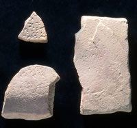 Metate fragments from the Graham-Applegate site. Photo by Milton Bell.