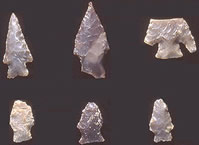 Archaic dart points from the Graham-Applegate site. Photo by Milton Bell.