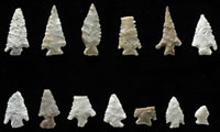 Examples of arrow points from the Graham-Applegate rancheria. All shown here have been classified as Scallorn type with the exception of the specimen second from top right, a Sabinal arrow point, found more frequently in areas to the south of the site. Photo by Milton Bell.