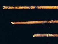 photo of cane arrows