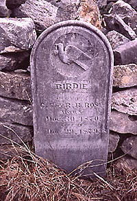 "Not lost but gone before;" marker of nine-year-old Birdie Rose, who died in 1879. Photo by Tom Hester.