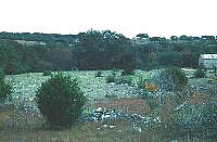 Fields adjacent to the stone building contained alignments of stone and small piles of building debris. Photo by Susan Dial.