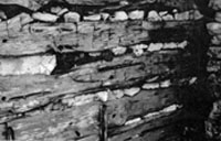 Hand-hewn cedar log walls with mud and stone chinking. Plaster was applied over the walls as a final seal against wind, bugs, and snakes.