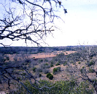 Fertile terraces along creeks provided deep soil for growing crops on a small scale. The narrow valleys, bound by limestone bluffs and low hills, provided a measure of confinement for domestic animals such as hogs. 
