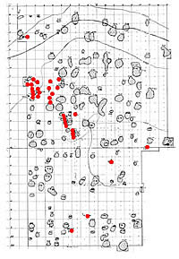 Map of hearths and burials
