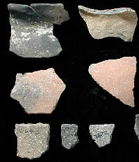 Array of sherds of shell-tempered Nocona Plain pottery