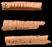hollow bones marked with incised parallel notches