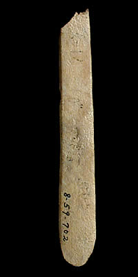 A spatulate tool with beveled edges was made from a bison or deer rib.