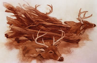 Drawing of deer heads