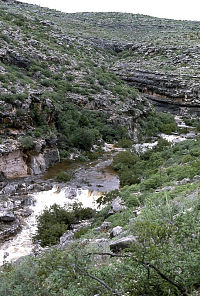 phoot of flooded canyon