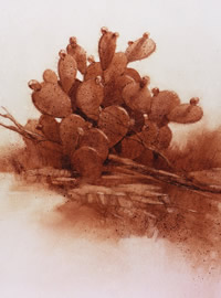 Artist's rendering of a prickly pear cactus