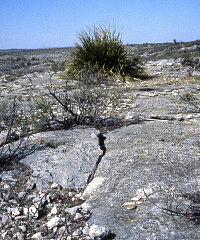 photo of bedrock