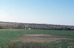 photo of the site area