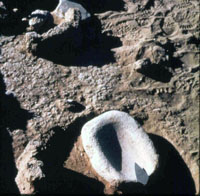 photo of a basin metate, a deep stone used for grinding