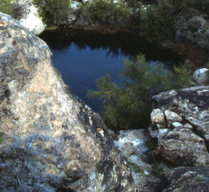 photo of Laguna Prieta, one of the largest tanks at the site
