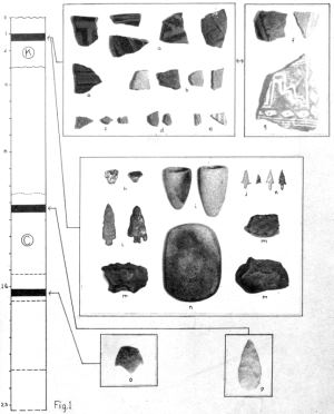 black and white photo plate showing artifacts