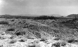 photo of eroding house mounds at the Millington site in 1938