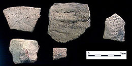 photo of atypical Conchos Plain sherds from Millington,