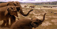 Painting of elephants on a rolling landscape with other megafauna in the distantance, and a river in the background.