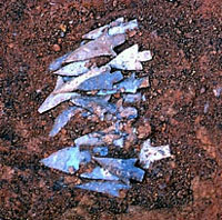 photograph of over a dozen projectile points in place, excavated in one small area