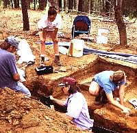 photograph of people excavating a site
