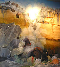 A painting of bison falling from a notch in a cliff and being impaled on the rocks below a rock shelter.