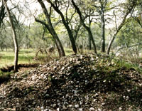 Photograph of a mound of dark soil and rocks.