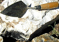 Photograph of a trowel.