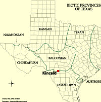 map of Texas biotic provinces