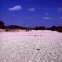 photo of gravels