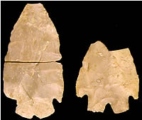photo of Montell points