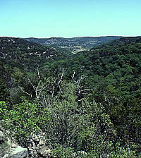 photo of hills