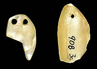 photo of shell ornaments