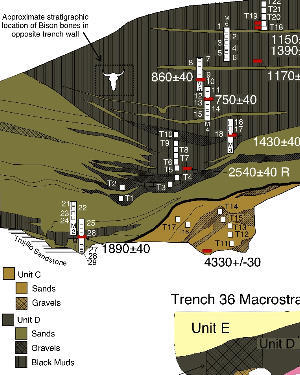 illustration of profile of Backhoe Trench 36