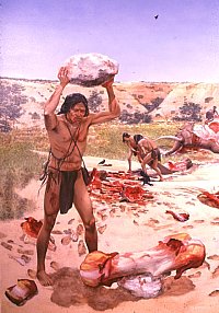 Butchering a Mammoth, 1. A man hoists a boulder over his head to crack open the humerus (upper front leg bone) of a mammoth (Ice-Age elephant). The resulting bone fragments will be used as tools. Behind him several men drag a severed lower leg to one side. Painting by Nola Davis, image provided courtesy of Texas Parks and Wildlife Department. The orginal mural is on display at the Lubbock Lake Landmark Interpretive Center, now owned by Texas Tech University; the use of this image is authorized by the Museum of Texas Tech University.