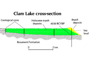 illustration of Geologic cross-section of Clam Lake immediately inland from McFaddin Beach