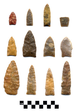 photo of lanceolate and other Paleoindian dart points