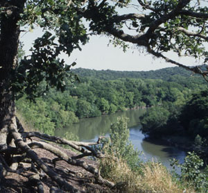photo of the Colorado River