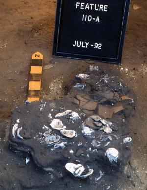 Image of Shell and pottery-lined hearth.