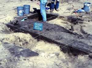 Image of archeologists excavates a complex of overlapping pits uncovered in Area 3.
