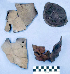 Image of a partially reconstructed vessel sections from Mitchell Ridge.