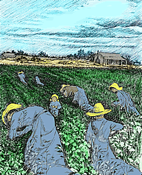workers in the Osborn field