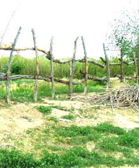 photo of a traditional log fence, secured with thin willow branches