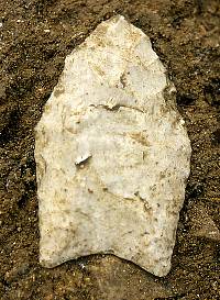 Photo of Clovis point as it was found at Pavo Real.
