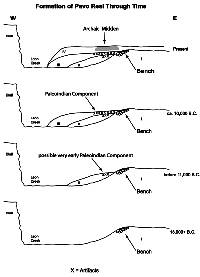schematic drawing of site formation over time