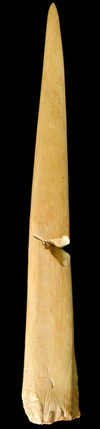 Bone awl, worn and polished from use as a weaving tool. From the ANRA-NPS collections at TARL.