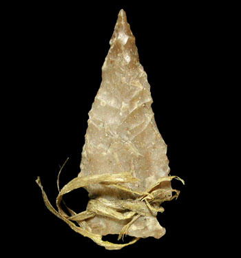Late Archaic dart point with fiber binding still attached. From the ANRA-NPS collections at TARL.